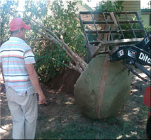 Oklahoma City, OK - Landscaping / Nursery - Franks Landscape